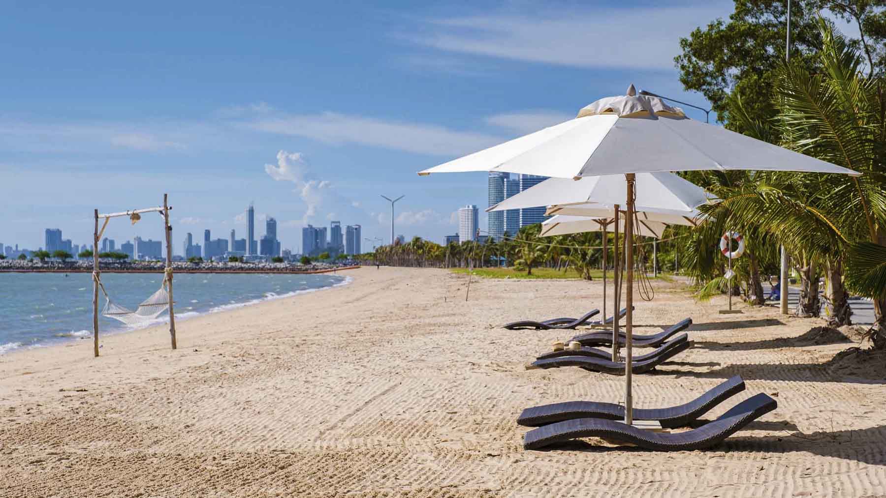 Beach chairs on the beach of Ban Amphur Beach Pattaya Thailand, a beach with beautiful palm trees and a blue ocean in Pattaya Thailand