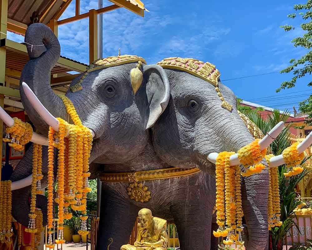  Wat Nong Ao Elephant statue 